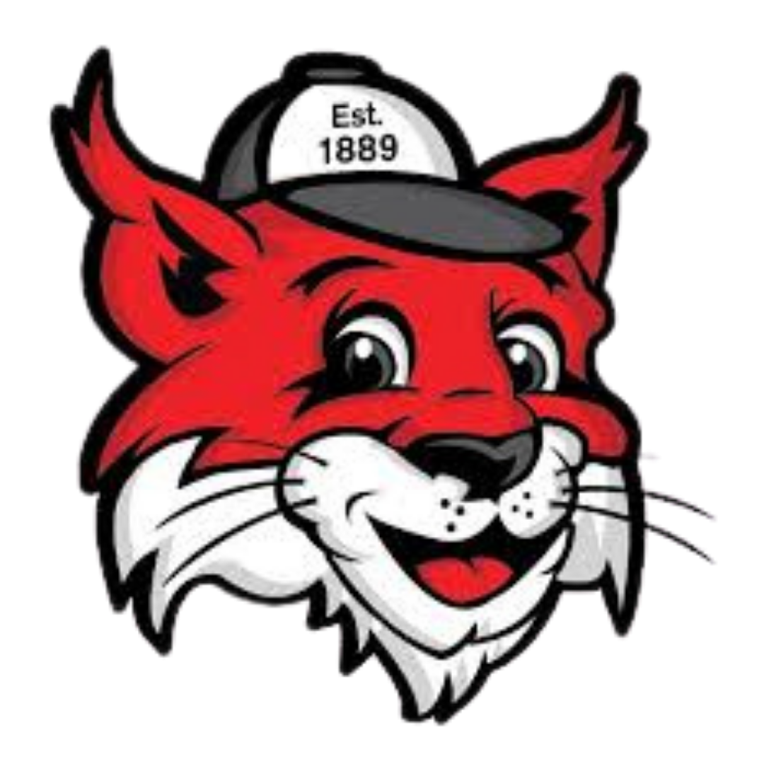Cartoon red fox head wearing a gray cap with the text 