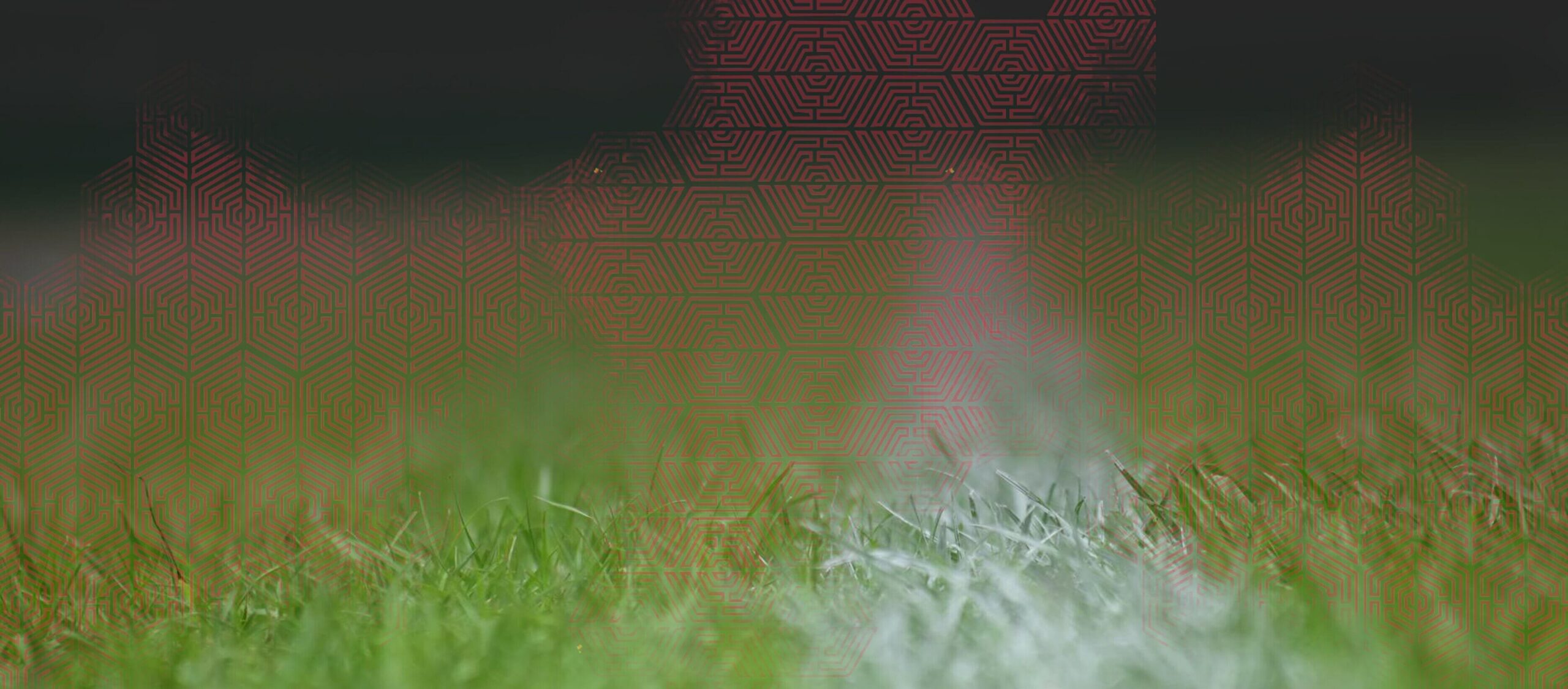 Close-up of green grass on a sports field with a white boundary line, blurred background, and a faint geometric pattern overlaying the top part of the image.
